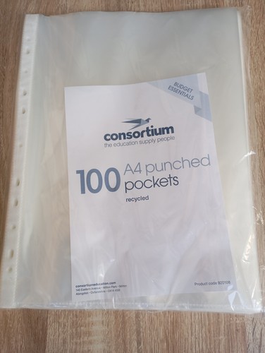 100 clear plastic punched - clear,