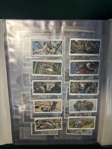 Bifold display folder with - display,